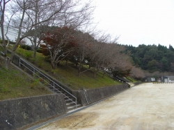 画像１