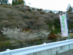 摜P